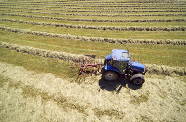 Tractor teddering hay  England