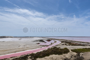 Red salt marshes at Salins-de-Giraud  Camargue  France