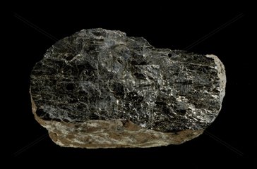 10 cm langer Amphibolkristall aus einem französischen Vulkan