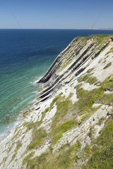 Flysch cliff on the Basque corniche  Urrugne  Pyrenees-Atlantiques  France