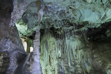 Stalaktiten in den Höhlen von Nerja Andalusicia Spanien