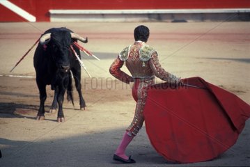 Matador et taureau pendant une corrida Bayonne France