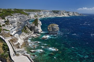 Limestone cliffs of Bonifacio  Corsica  France