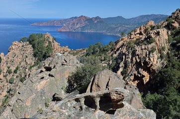 From Capu d'Orto  overlooking the Gulf of Porto and the Scandola Reserve  Porto Region  Corsica  France