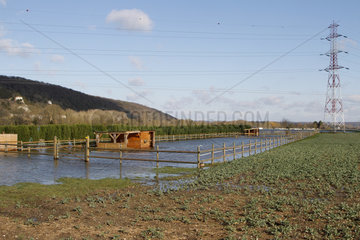 Flooded field due to the flood of the Seine on 03/02/2018 in Cleon  Normandy  France