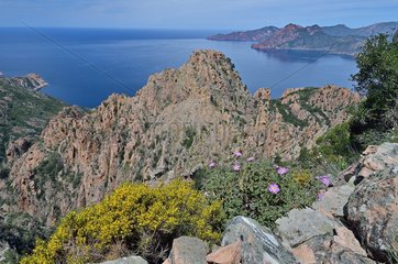 From Capu d'Ota  overlooking the Gulf of Porto and the Scandola Reserve  Porto Region  Corsica  France