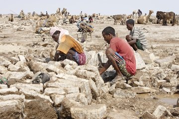 Extracting salt from the ice Salt Lake Karoum Ethiopia