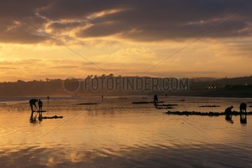 Sonnenuntergang auf Wasser mit Cornwell