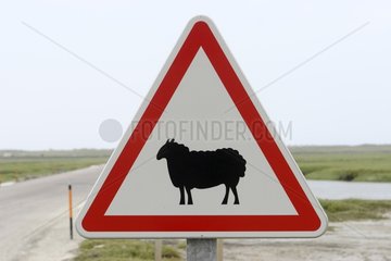 Sign indicating the passage of sheep