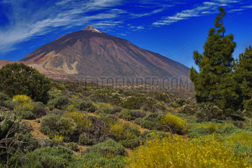 Teide Volcano  Teide National Park  Island of Tenerife  Canary Islands.