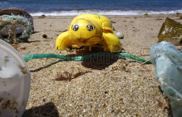 Plastic turtle thrown by the sea in a beach. - Composite image. Composite image