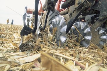 Cereal direct drilling without ploughing Lorraine