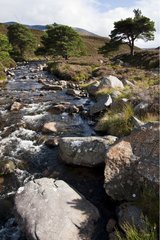 River in Cairngorms NP Scotland