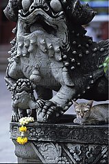 Katze legt sich auf eine Statue einer Pagode Bangkok Thailand hin
