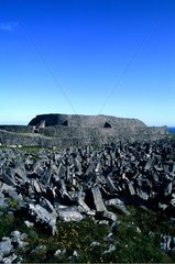 Aran  île d'Inishmore  le fort Dun Aegus