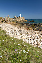Paon lighthouse  Brehat island  Cotes-d'Armor  Brittany  France