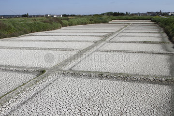 Evaporation pond of Guerande salt marshes  Atlantic coast  France