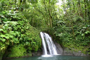 Cascade aux ecrevisses waterfall in forest  Guadeloupe national park  French West Indies