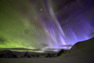Aurora borealis o on the Kolding Fjord. North East coast of Greenland