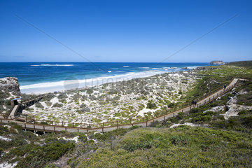 Seal Bay beach  Kangaroo island  South Australia