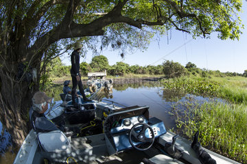 Boats ready to Browsing the secondary rivers in search of wildlife  Paraguay River  Pantanal  Brazil