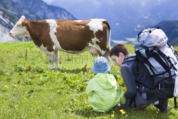 Boy and girl looking at a cow Abondance Alpes France