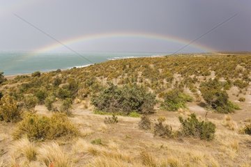 Regenbogen über der Küste Caldes Halbinsel Patagonia Argentinien