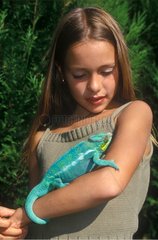 Young girl carrying a Chameleon in the arms