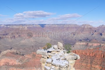 Grand Canyon Scenic Lookout  Grand Canyon National Park  Arizona  USA