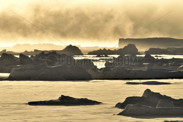 Scoresbysund ice at the rising sun  mists come from open waters off East Greenland