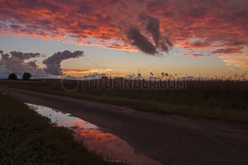 Sunset reflection in a puddle