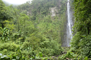 Chute du Carbet  Waterfall  Guadeloupe National Park  French West Indies