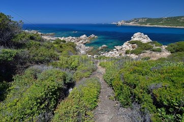 Gulf of Tizzano  Propriano Region  Corsica  France