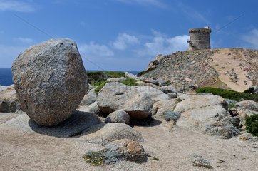 Genovese Tower of Omigna  Gulf of Peru  Cargese Region  Corsica  France