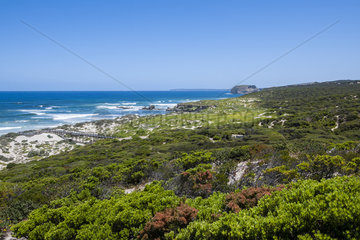 Seal Bay Beach  Kangaroo island  South Australia