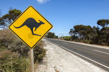 Road sign indicating the presence of Kangaroos  Kangaroo island  South Australia