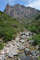Spelunca Valley  Evisa Region  Corsica  France