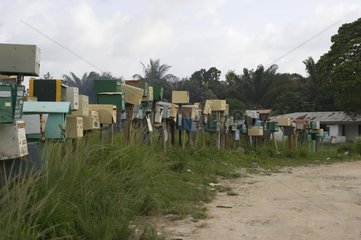Boîtes aux lettres d'un bidonville Guyane française