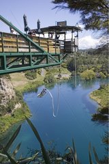 Man doing bungee jumping from a platform Waikato river