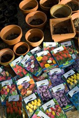 Flower pots in terracotta and bags of bulbs Provence