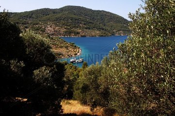 Bateaux protégés par une anse de l'île de Korçula Croatie