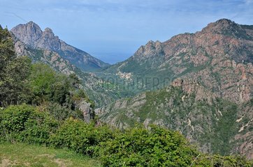 Village of Ota surrounded by pink porphyry mountains: view of the Gulf of Porto  Corsica  France