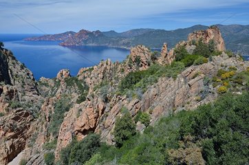 View of the Gulf of Porto and the Scandola Reserve  from the mule track linking Piana to Ota. Region of Porto. Corsica  France