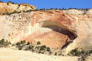 Arch in the Cliff  Zion National Park  Utah  USA