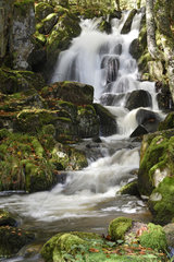 Rummel waterfall  La Savoureuse river in forest  Ballon d Alsace  Territoire de Belfort  France
