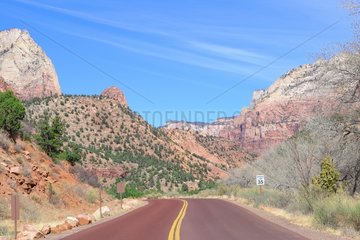 Road in Zion National Park located in Southwestern Utah  USA