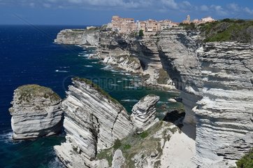 Limestone cliffs of Bonifacio  Corsica  France