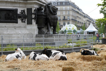 BiodiversitTerre  Paris  France Imagined by Gad Weil on the Place de la Republique in Paris from 02 to 05 June 2018  this huge plant and human work that is BiodiversiTerre invites everyone to grasp the responsibilities he or she has vis-à-vis Environmental protection. Through several living paintings one can better understand ecological issues and the need to take care of biodiversity. Many topics are discussed including urban agriculture  water  energy and recycling.