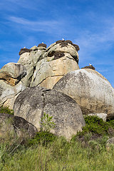 Granitic formations and nests of white storks (Ciconia ciconia)  natural monument of Los Barruecos  Extremadura  Spain