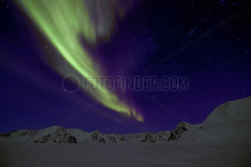Northern lights on the Kolding Fjord. East coast of Greenland